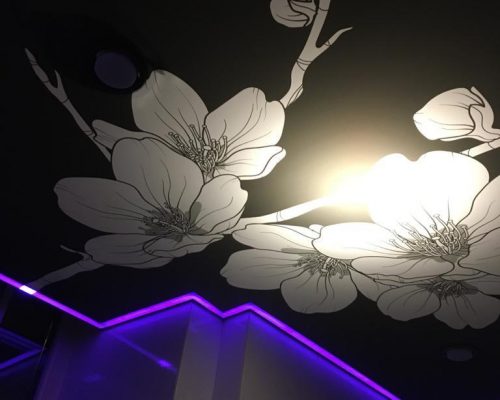 Фактура натяжных потолков для фотопечати